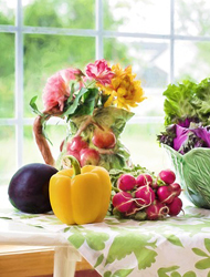 DDOS在线压力测试